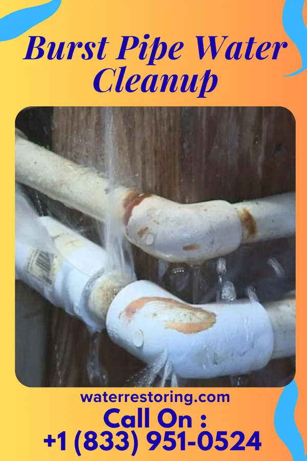 Burst Pipe Water Cleanup in Ranshaw, PA