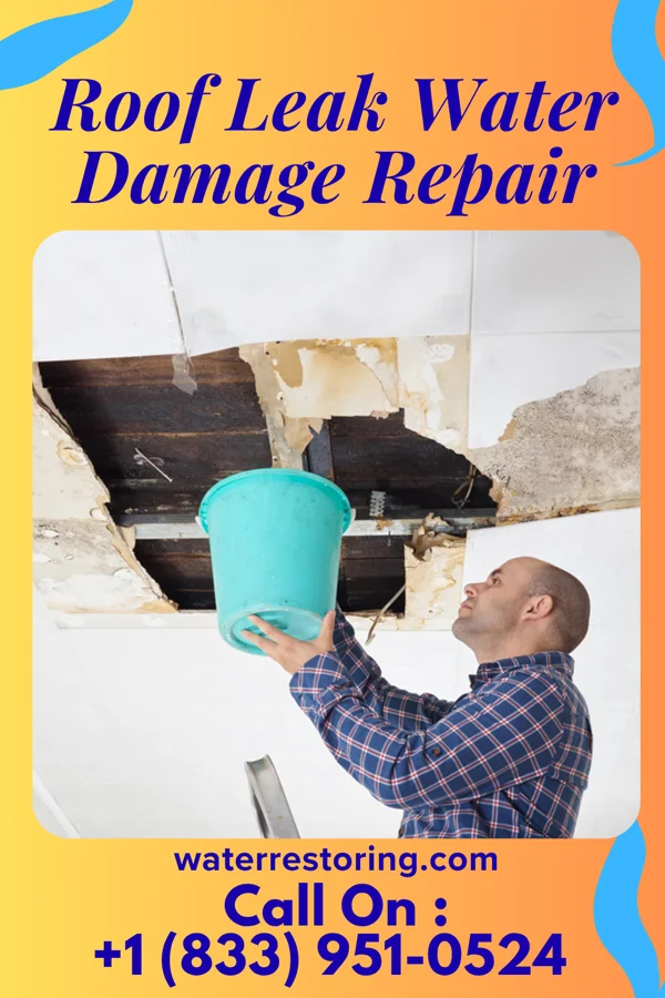 Roof Leak Water Damage Repair in Ranshaw, PA
