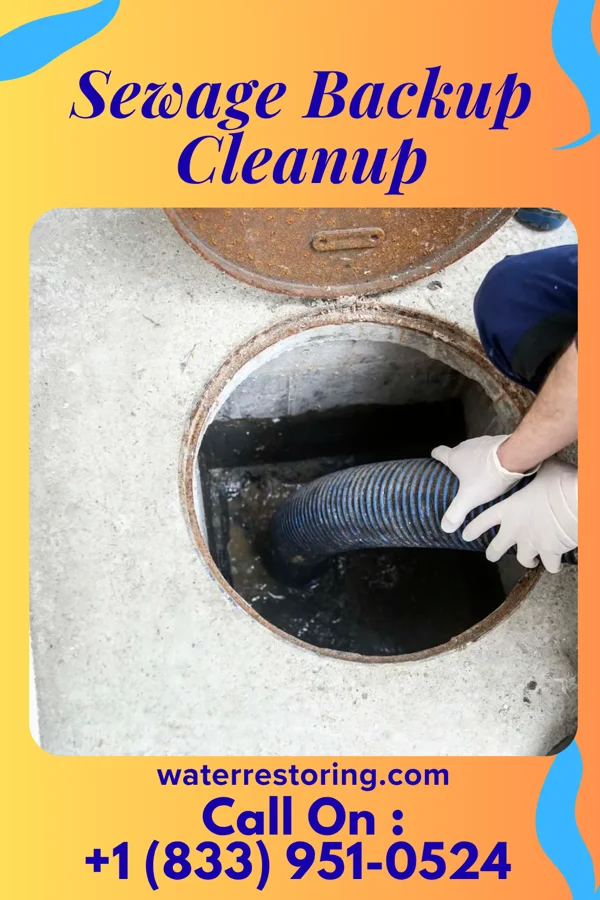 Sewage Backup Cleanup in Ranshaw, PA
