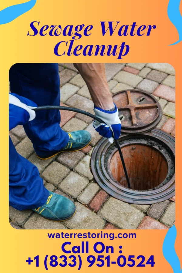 Sewage Water Cleanup in Ranshaw, PA